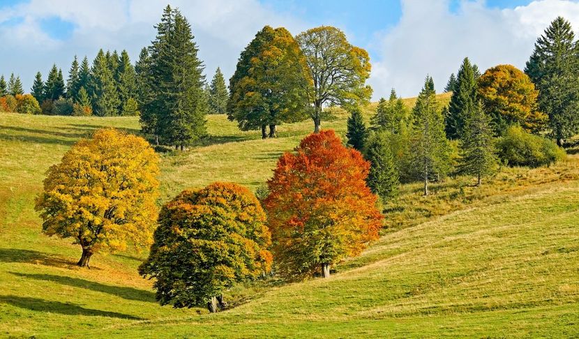 Montaj fototapet Bucuresti, ablo.ro (277) - Fototapet poze mari pentru printat ablo ro Partea I