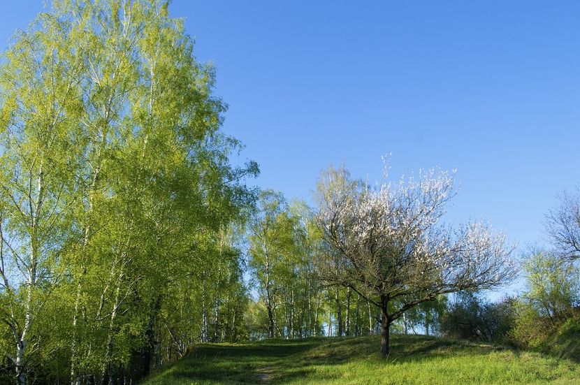Montaj fototapet Bucuresti, ablo.ro (289) - Fototapet poze mari pentru printat ablo ro Partea I