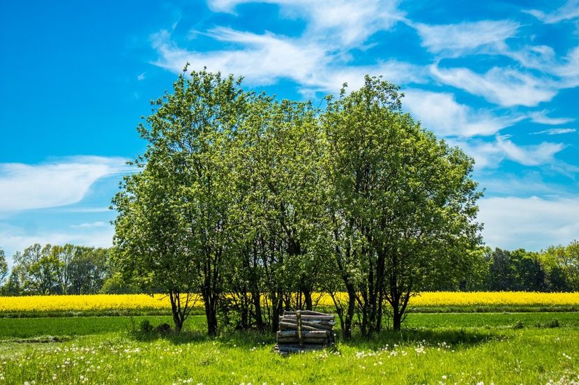 Montaj fototapet Bucuresti, ablo.ro (297) - Fototapet poze mari pentru printat ablo ro Partea I