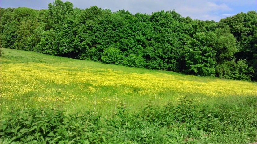 Montaj fototapet Bucuresti, ablo.ro (310) - Fototapet poze mari pentru printat ablo ro Partea I