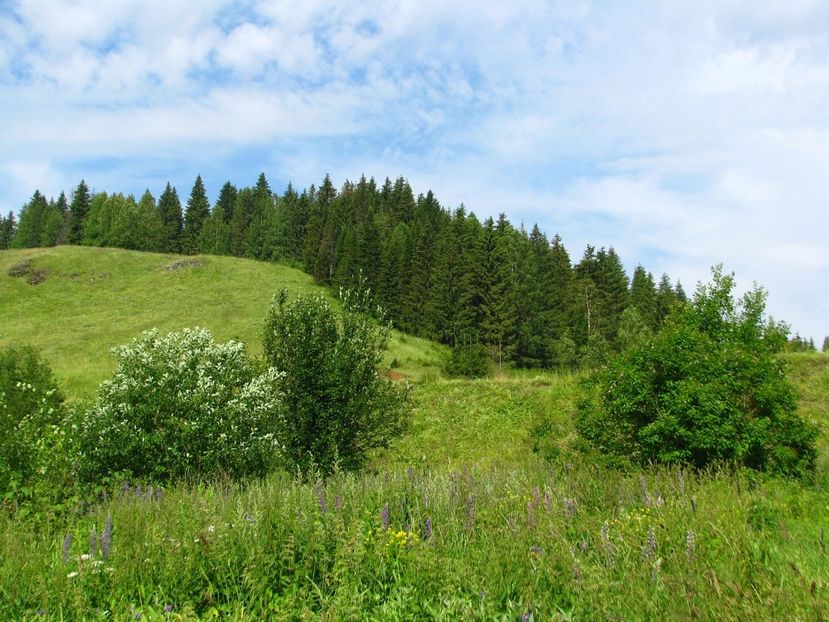 Montaj fototapet Bucuresti, ablo.ro (324) - Fototapet poze mari pentru printat ablo ro Partea I