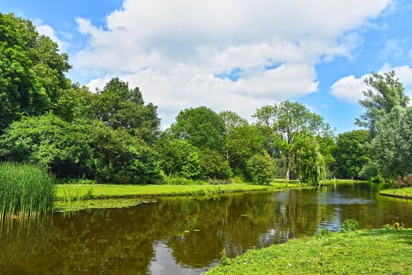 Montaj fototapet Bucuresti, ablo.ro (333) - Fototapet poze mari pentru printat ablo ro Partea I