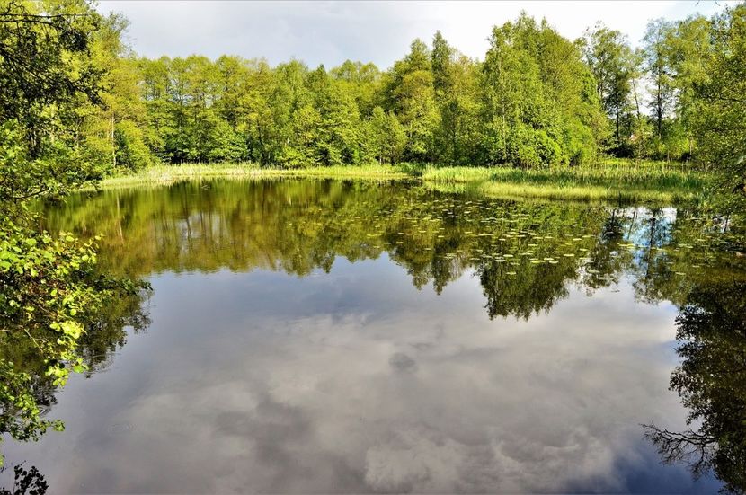 Montaj fototapet Bucuresti, ablo.ro (335) - Fototapet poze mari pentru printat ablo ro Partea I