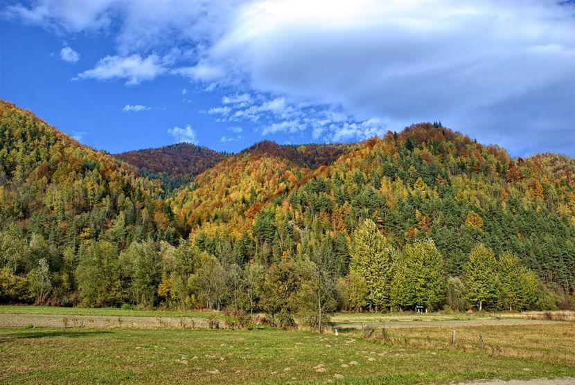 Montaj fototapet Bucuresti, ablo.ro (354) - Fototapet poze mari pentru printat ablo ro Partea I