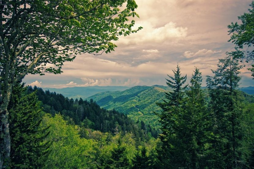 Montaj fototapet Bucuresti, ablo.ro (367) - Fototapet poze mari pentru printat ablo ro Partea I