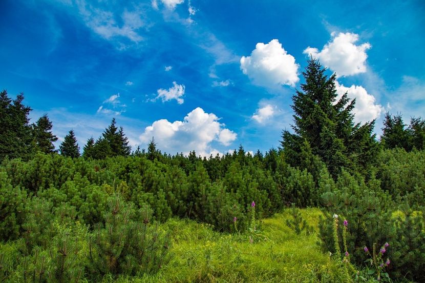 Montaj fototapet Bucuresti, ablo.ro (374) - Fototapet poze mari pentru printat ablo ro Partea I