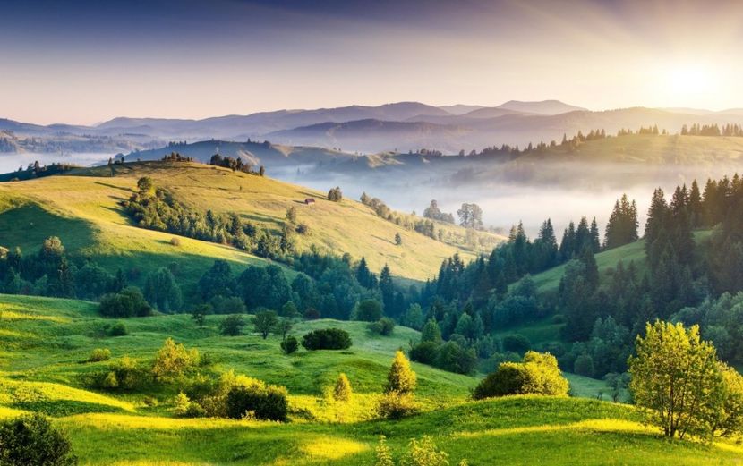 Montaj fototapet Bucuresti, ablo.ro (381) - Fototapet poze mari pentru printat ablo ro Partea I