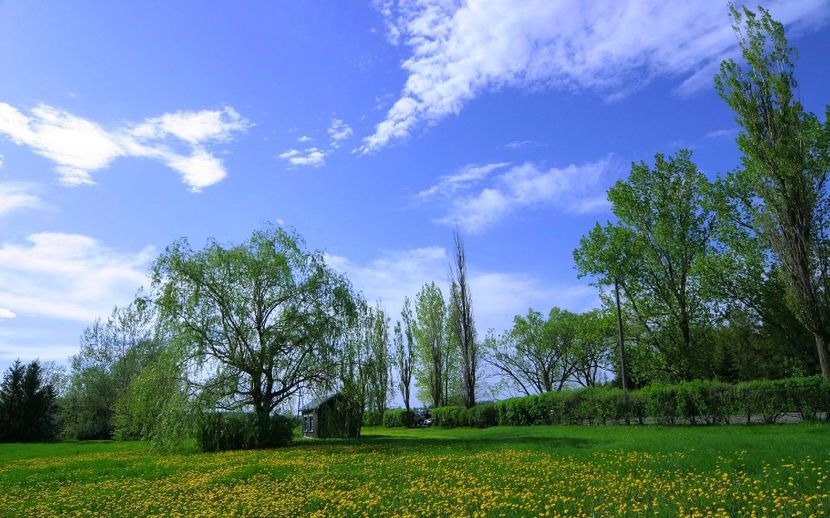 Montaj fototapet Bucuresti, ablo.ro (384) - Fototapet poze mari pentru printat ablo ro Partea I