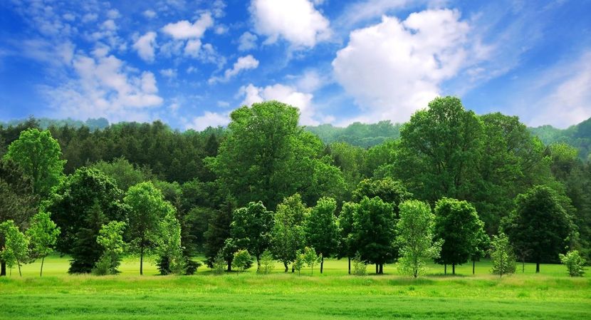 Montaj fototapet Bucuresti, ablo.ro (420) - Fototapet poze mari pentru printat ablo ro Partea I