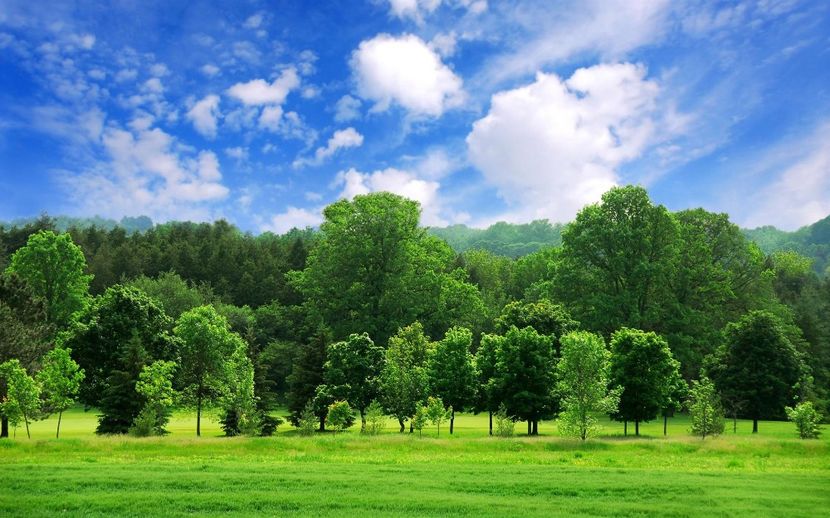 Montaj fototapet Bucuresti, ablo.ro (424) - Fototapet poze mari pentru printat ablo ro Partea I