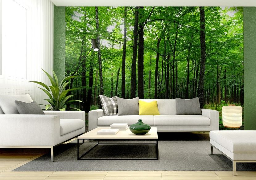 Montaj fototapet Bucuresti, ablo.ro (427) - Fototapet poze mari pentru printat ablo ro Partea I