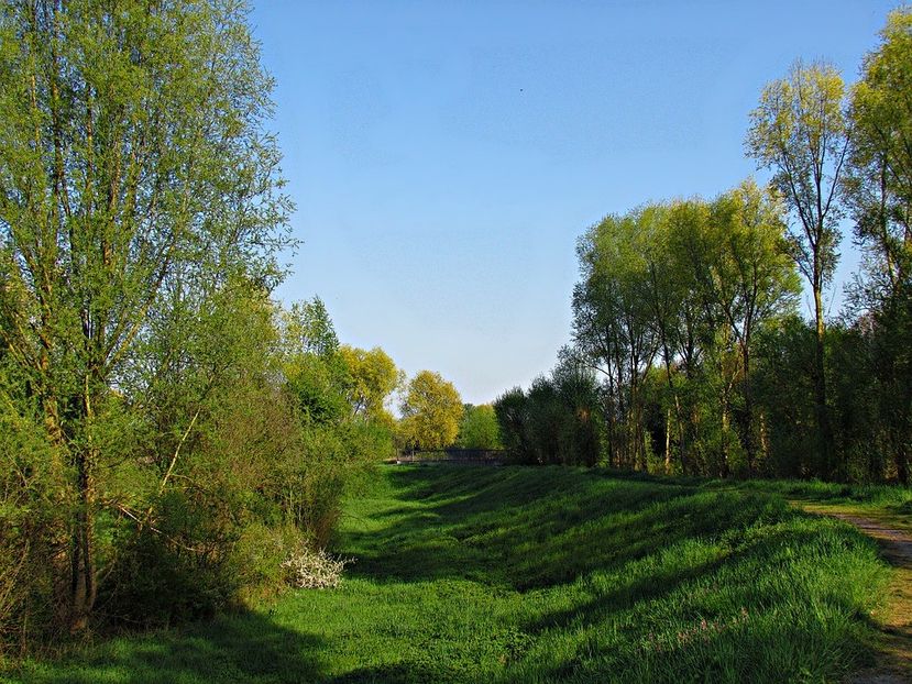 Montaj fototapet Bucuresti, ablo.ro (469) - Fototapet poze mari pentru printat ablo ro Partea I