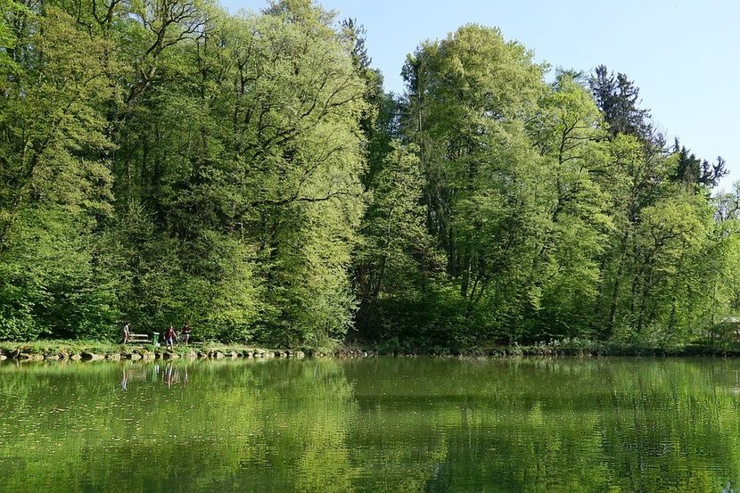 Montaj fototapet Bucuresti, ablo.ro (470) - Fototapet poze mari pentru printat ablo ro Partea I