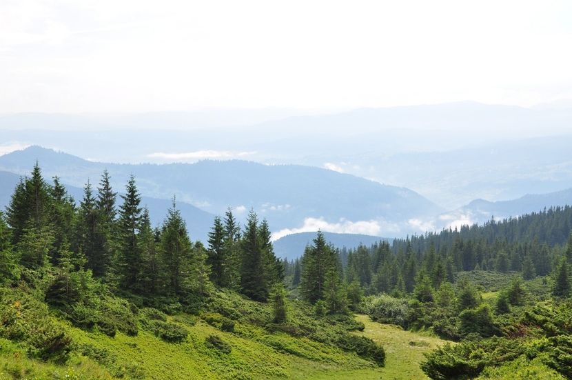 Montaj fototapet Bucuresti, ablo.ro (487) - Fototapet poze mari pentru printat ablo ro Partea I