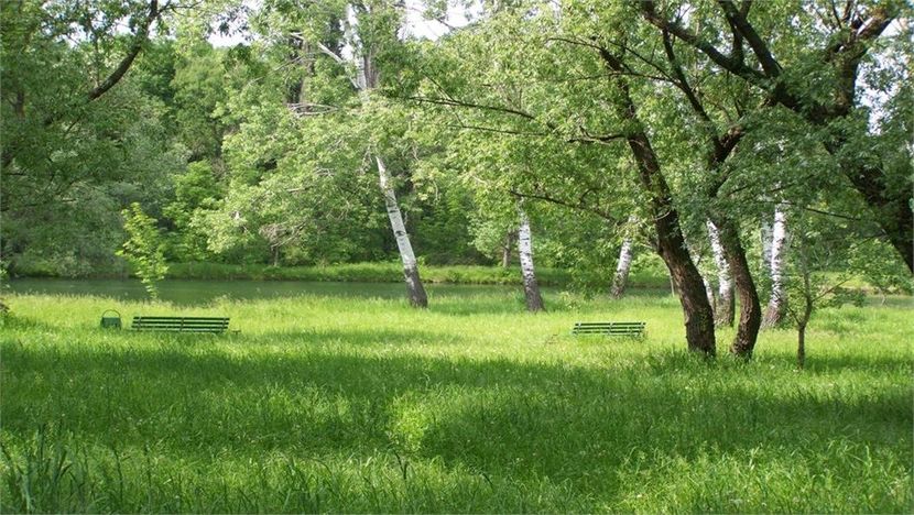 Montaj fototapet Bucuresti, ablo.ro (490) - Fototapet poze mari pentru printat ablo ro Partea I