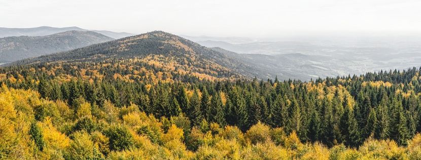 Montaj fototapet Bucuresti, ablo.ro (493) - Fototapet poze mari pentru printat ablo ro Partea I