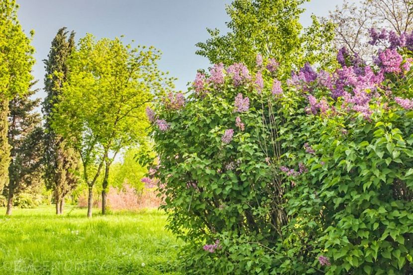 Montaj fototapet Bucuresti, ablo.ro (567) - Fototapet poze mari pentru printat ablo ro Partea II