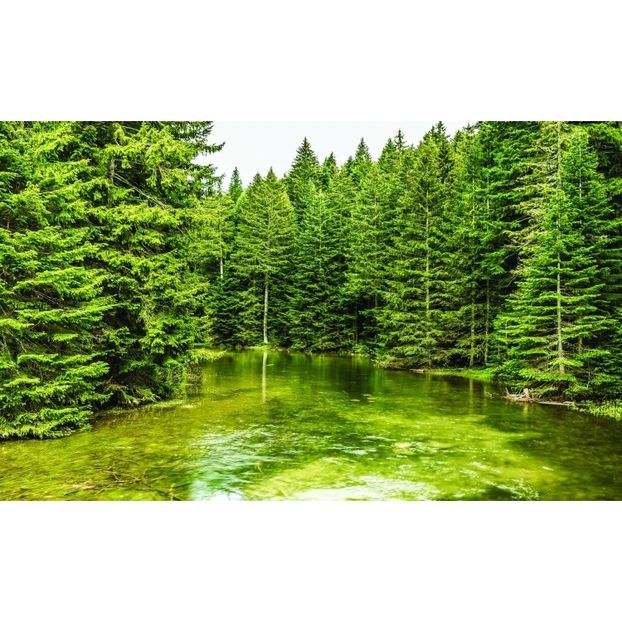 Montaj fototapet Bucuresti, ablo.ro (585) - Fototapet poze mari pentru printat ablo ro Partea II