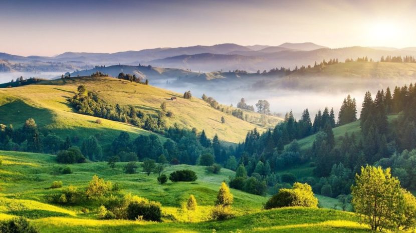 Montaj fototapet Bucuresti, ablo.ro (617) - Fototapet poze mari pentru printat ablo ro Partea II
