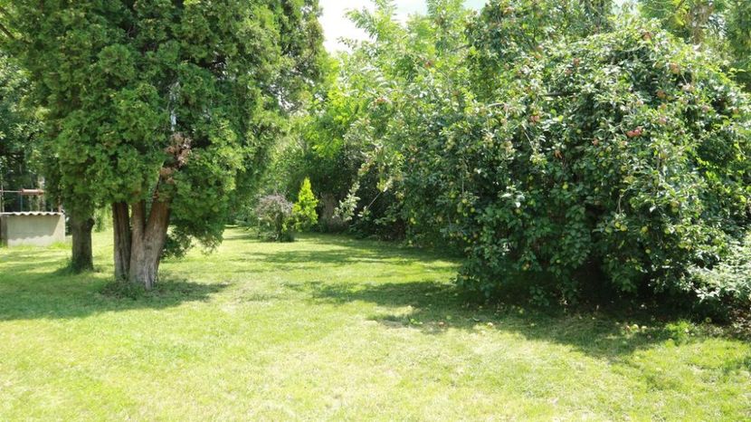 Montaj fototapet Bucuresti, ablo.ro (619) - Fototapet poze mari pentru printat ablo ro Partea II