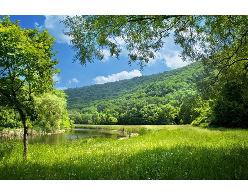 Montaj fototapet Bucuresti, ablo.ro (623) - Fototapet poze mari pentru printat ablo ro Partea II