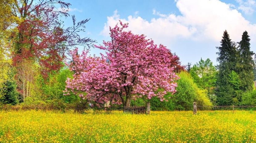 Montaj fototapet Bucuresti, ablo.ro (635) - Fototapet poze mari pentru printat ablo ro Partea II