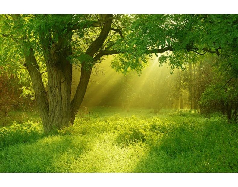 Montaj fototapet Bucuresti, ablo.ro (639) - Fototapet poze mari pentru printat ablo ro Partea II