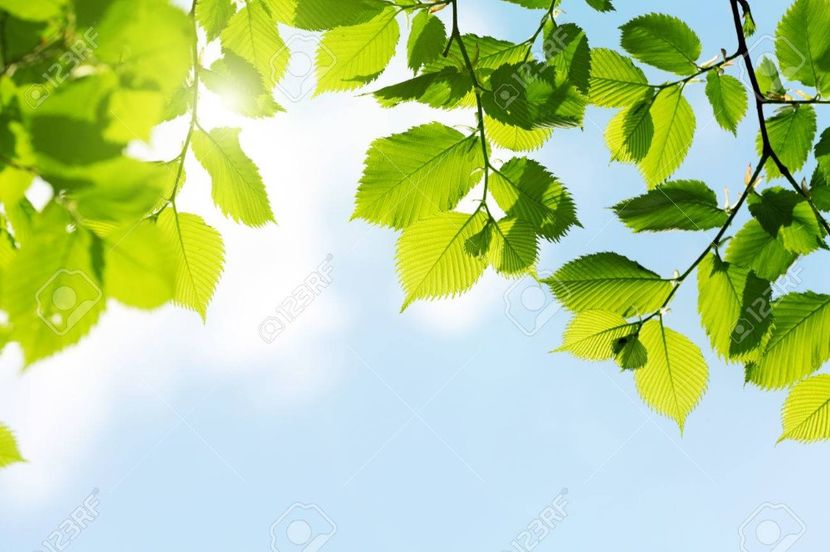 Montaj fototapet Bucuresti, ablo.ro (669) - Fototapet poze mari pentru printat ablo ro Partea II