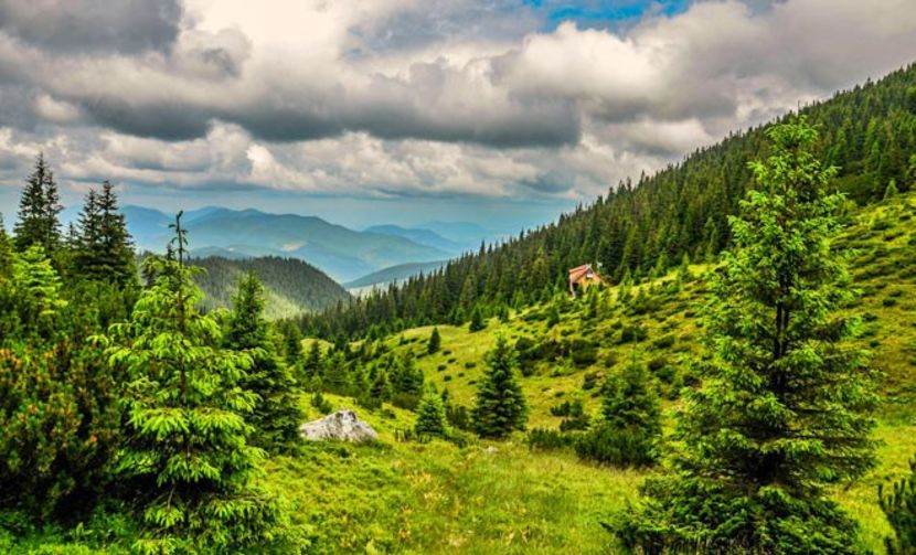 Montaj fototapet Bucuresti, ablo.ro (754) - Fototapet poze mari pentru printat ablo ro Partea II