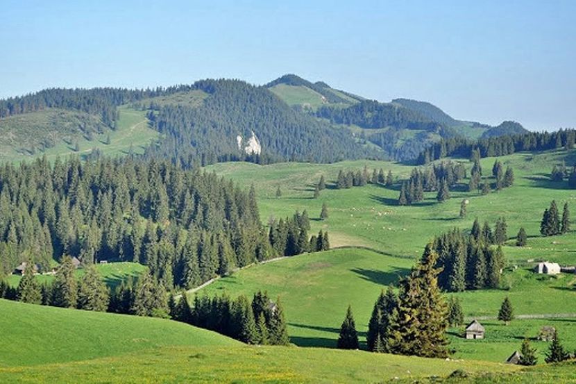 Montaj fototapet Bucuresti, ablo.ro (758) - Fototapet poze mari pentru printat ablo ro Partea II