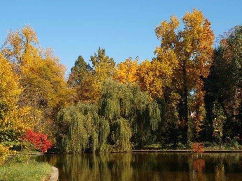 Montaj fototapet Bucuresti, ablo.ro (789) - Fototapet poze mari pentru printat ablo ro Partea II