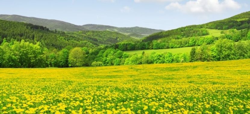 Montaj fototapet Bucuresti, ablo.ro (801) - Fototapet poze mari pentru printat ablo ro Partea II