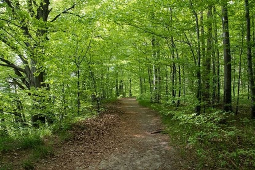 Montaj fototapet Bucuresti, ablo.ro (805) - Fototapet poze mari pentru printat ablo ro Partea II