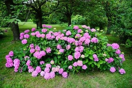 Montaj fototapet Bucuresti, ablo.ro (828) - Fototapet poze mari pentru printat ablo ro Partea II