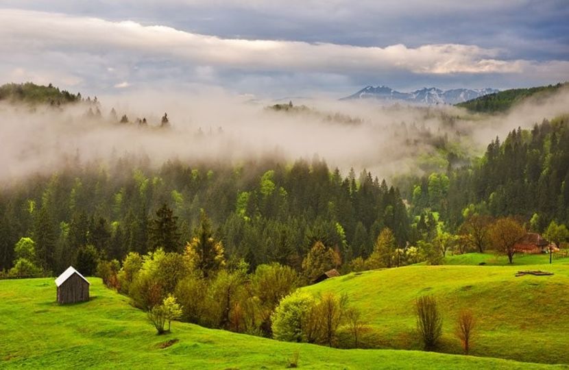 Montaj fototapet Bucuresti, ablo.ro (835) - Fototapet poze mari pentru printat ablo ro Partea II