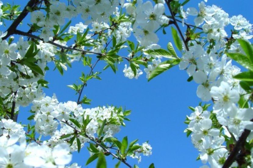 Montaj fototapet Bucuresti, ablo.ro (844) - Fototapet poze mari pentru printat ablo ro Partea II