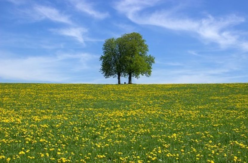 Montaj fototapet Bucuresti, ablo.ro (851) - Fototapet poze mari pentru printat ablo ro Partea II