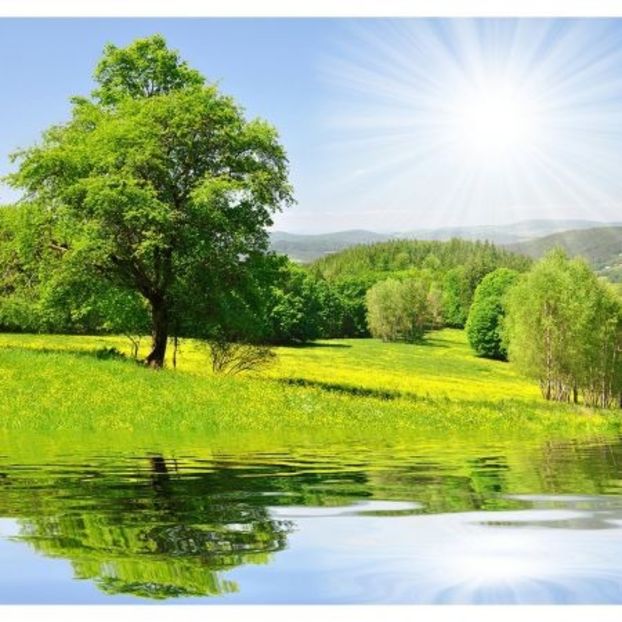 Montaj fototapet Bucuresti, ablo.ro (908) - Fototapet poze mari pentru printat ablo ro Partea II