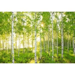 Montaj fototapet Bucuresti, ablo.ro (920) - Fototapet poze mari pentru printat ablo ro Partea II