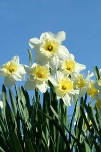 Montaj fototapet Bucuresti, ablo.ro (940) - Fototapet poze mari pentru printat ablo ro Partea II