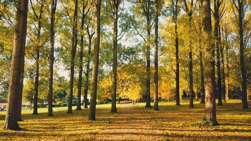 Montaj fototapet Bucuresti, ablo.ro 1a - Fototapet poze mari pentru printat ablo ro Partea II