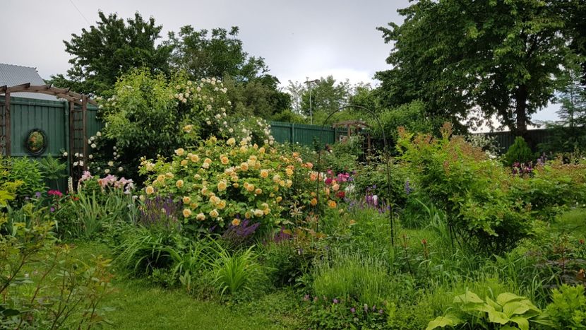  - 2019 Mai Idilic Garden