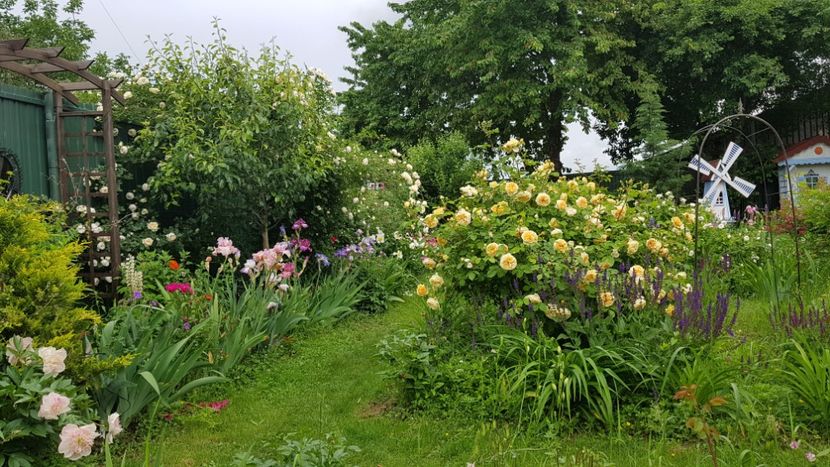  - 2019 Mai Idilic Garden