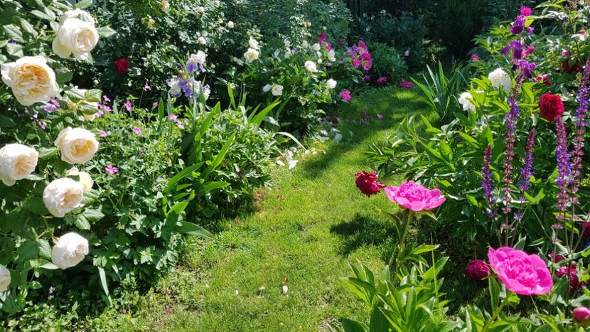  - 2019 Mai Idilic Garden