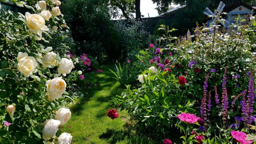  - 2019 Mai Idilic Garden