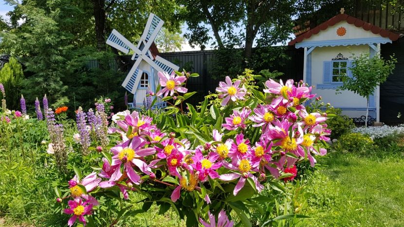  - 2019 Mai Idilic Garden