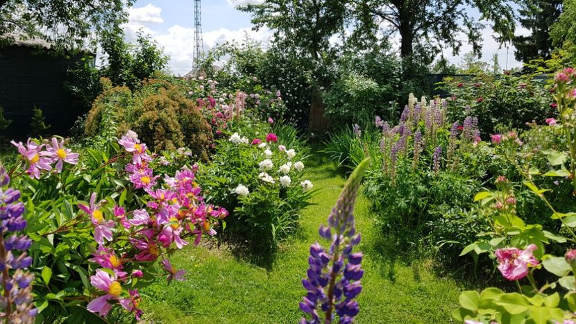  - 2019 Mai Idilic Garden