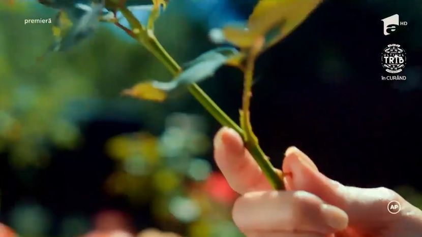 bandicam 2019-05-26 11-34-54-806 - 01 fructul oprit 02-01-01