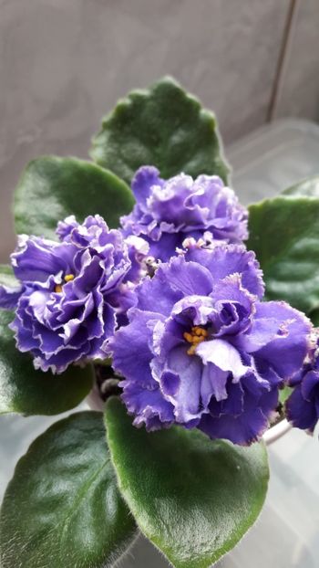 Mai 2019 - LE BUNTAR - sport