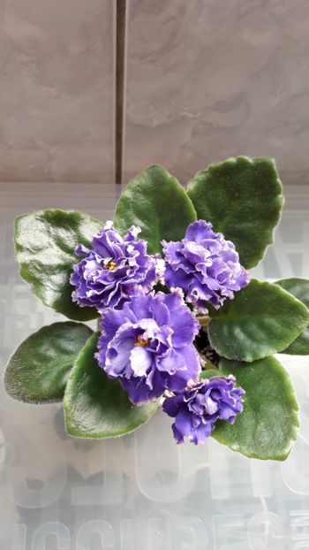 Mai 2019 - LE BUNTAR - sport